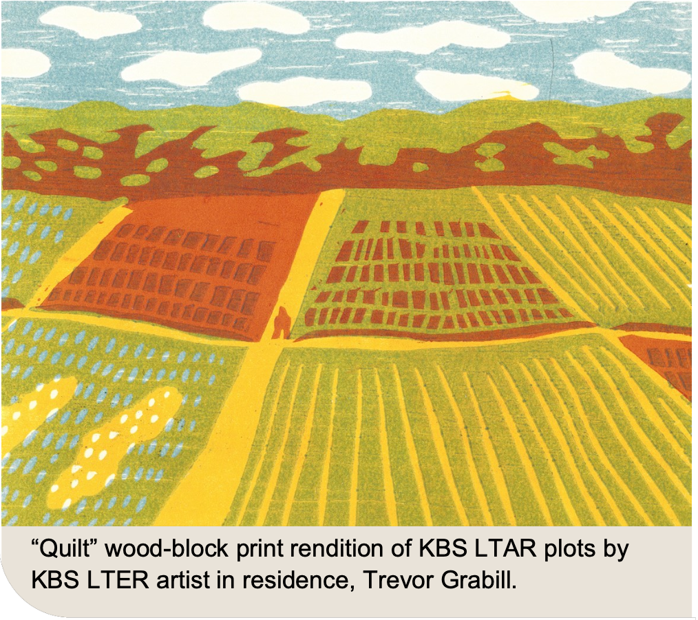 “Quilt” wood-block print rendition of KBS LTAR plots by KBSLTER artist in residence, Trevor Grabill.